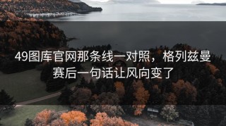 49图库官网那条线一对照，格列兹曼赛后一句话让风向变了