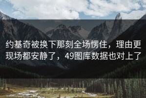 约基奇被换下那刻全场愣住，理由更现场都安静了，49图库数据也对上了
