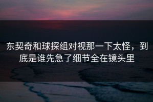 东契奇和球探组对视那一下太怪，到底是谁先急了细节全在镜头里