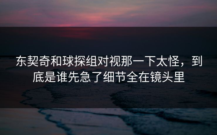 东契奇和球探组对视那一下太怪，到底是谁先急了细节全在镜头里