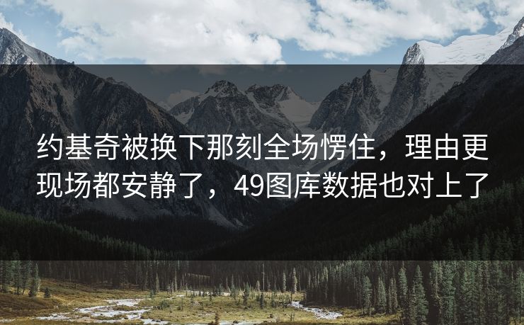 约基奇被换下那刻全场愣住，理由更现场都安静了，49图库数据也对上了