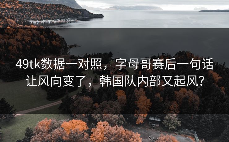 49tk数据一对照，字母哥赛后一句话让风向变了，韩国队内部又起风？