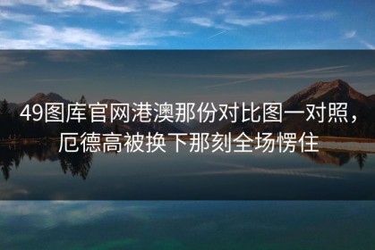 49图库官网港澳那份对比图一对照，厄德高被换下那刻全场愣住