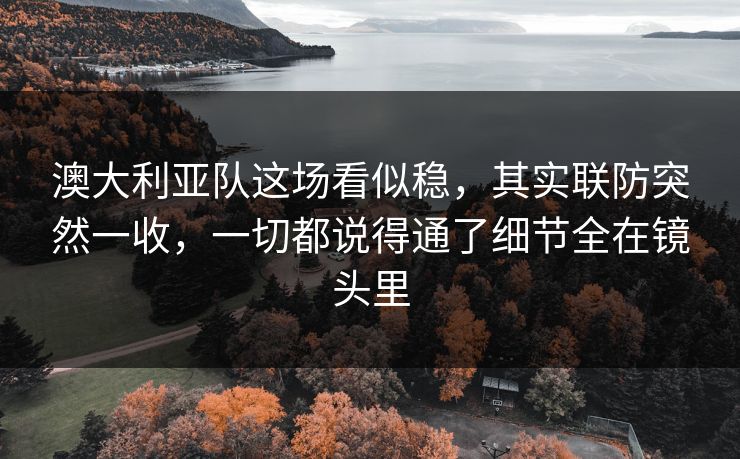 澳大利亚队这场看似稳，其实联防突然一收，一切都说得通了细节全在镜头里