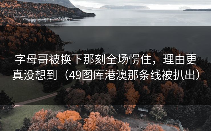 字母哥被换下那刻全场愣住,理由更真没想到(49图库港澳那条线被扒出) 字母哥被换下那刻全场愣住,理由更真没想到(49图库港澳那条线被扒出)